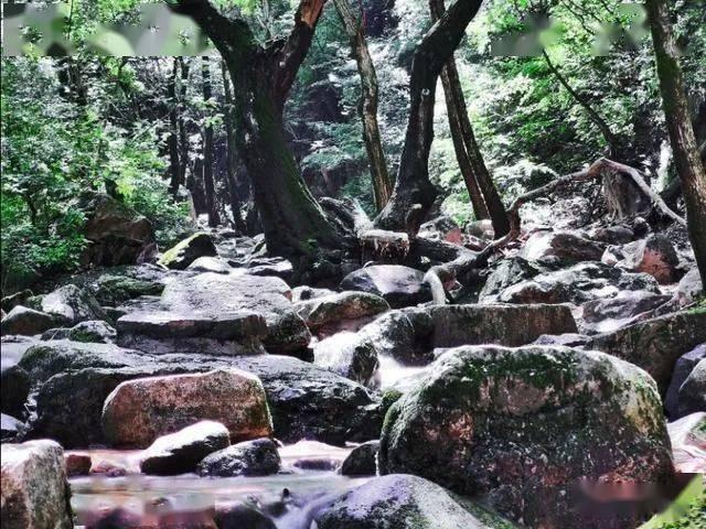 小勇士救公主